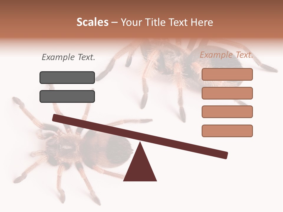 Close Up Studio Unusual PowerPoint Template