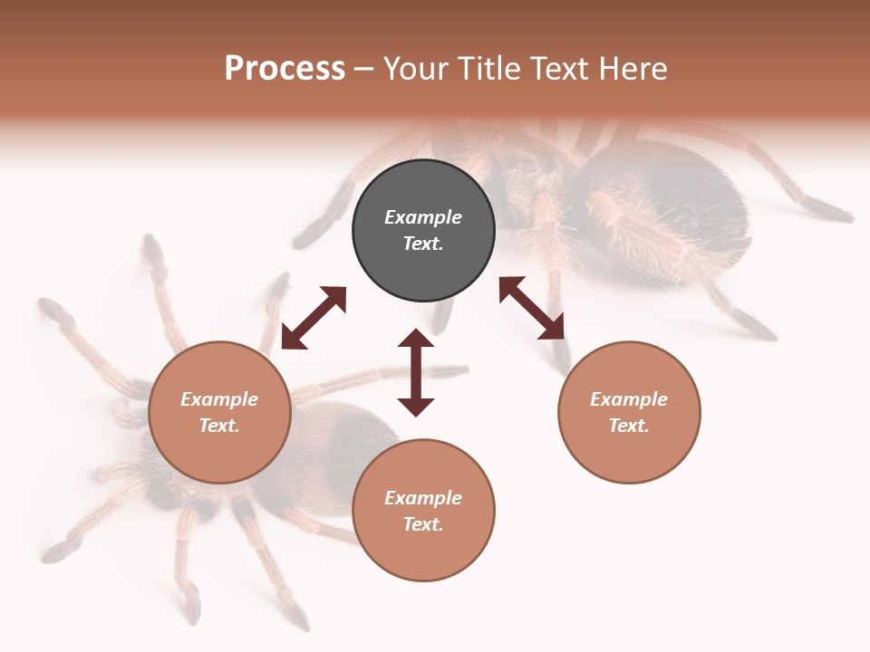 Close Up Studio Unusual PowerPoint Template