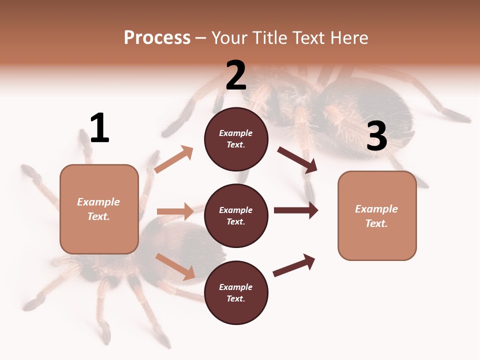 Close Up Studio Unusual PowerPoint Template