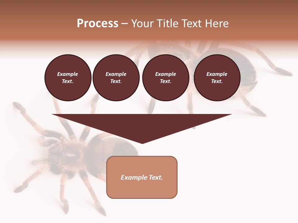 Close Up Studio Unusual PowerPoint Template