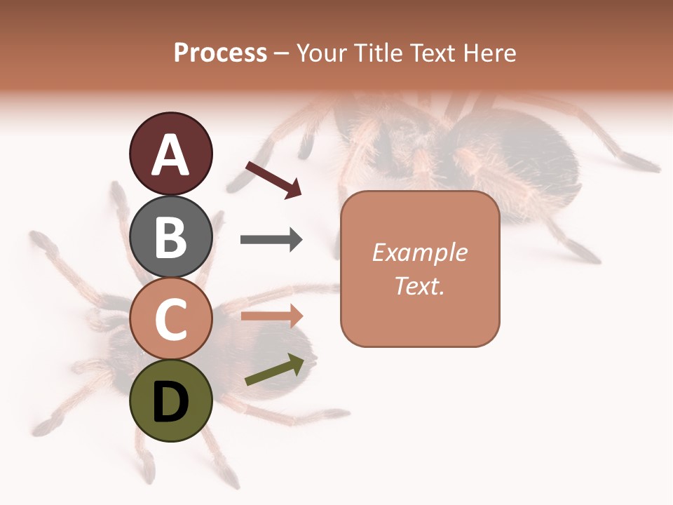 Close Up Studio Unusual PowerPoint Template