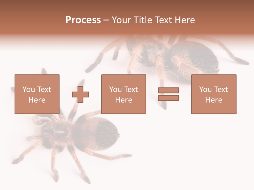 Close Up Studio Unusual PowerPoint Template