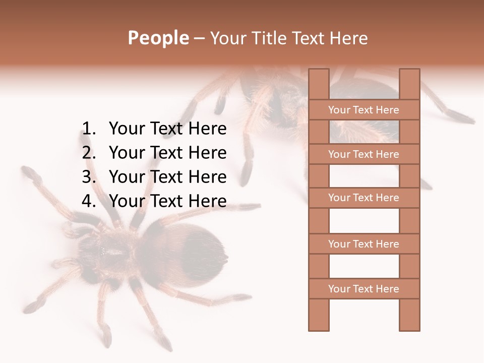 Close Up Studio Unusual PowerPoint Template