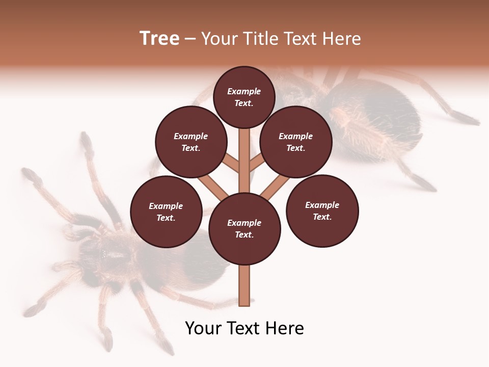 Close Up Studio Unusual PowerPoint Template