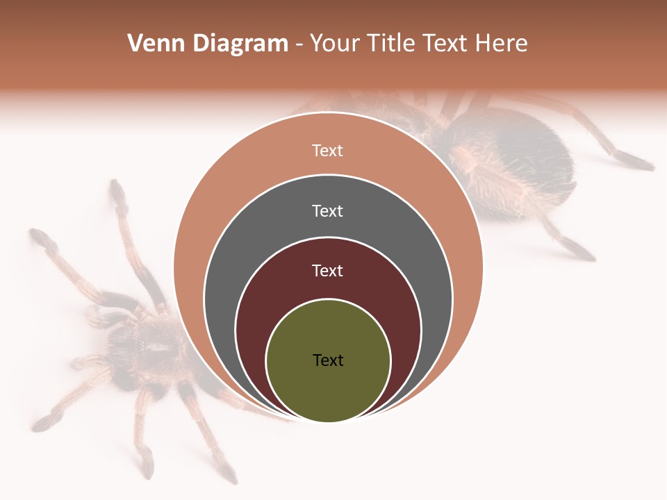 Close Up Studio Unusual PowerPoint Template