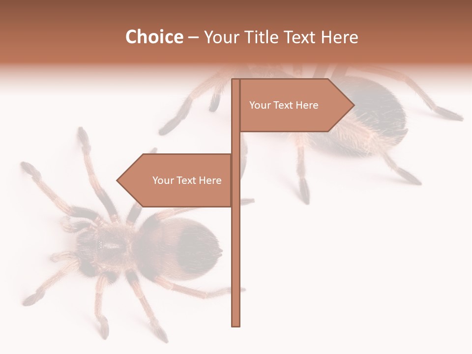 Close Up Studio Unusual PowerPoint Template