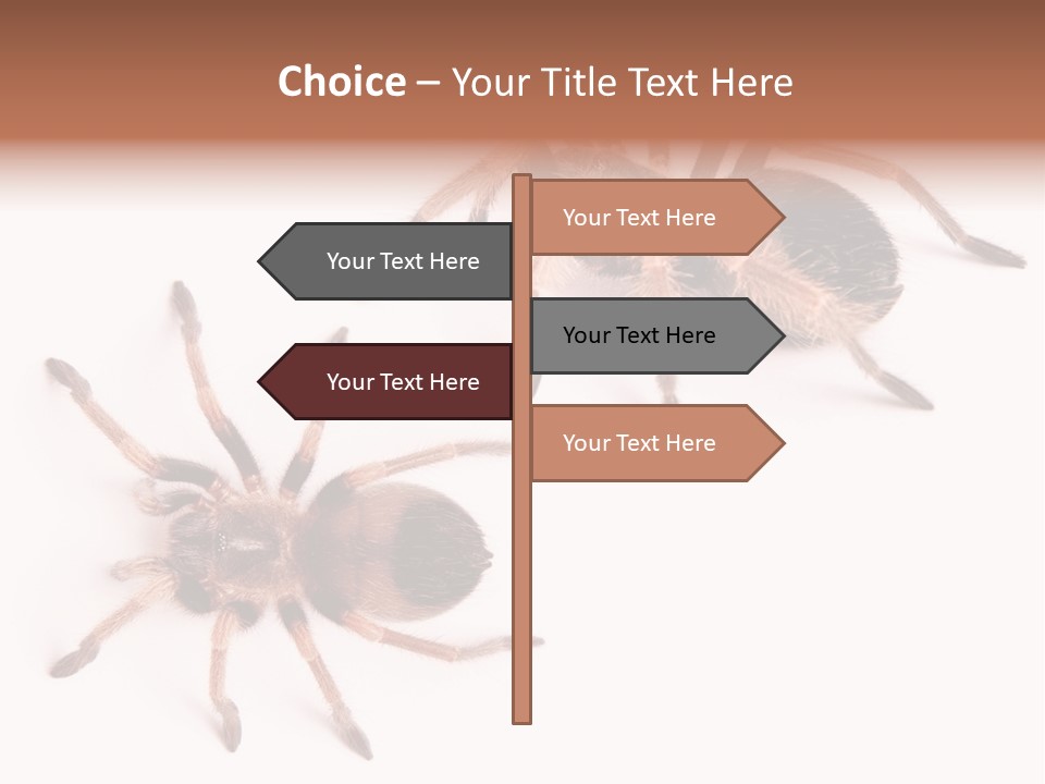 Close Up Studio Unusual PowerPoint Template