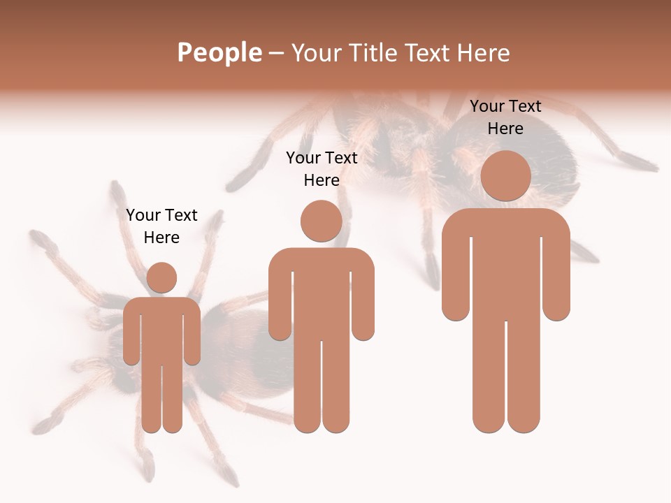 Close Up Studio Unusual PowerPoint Template