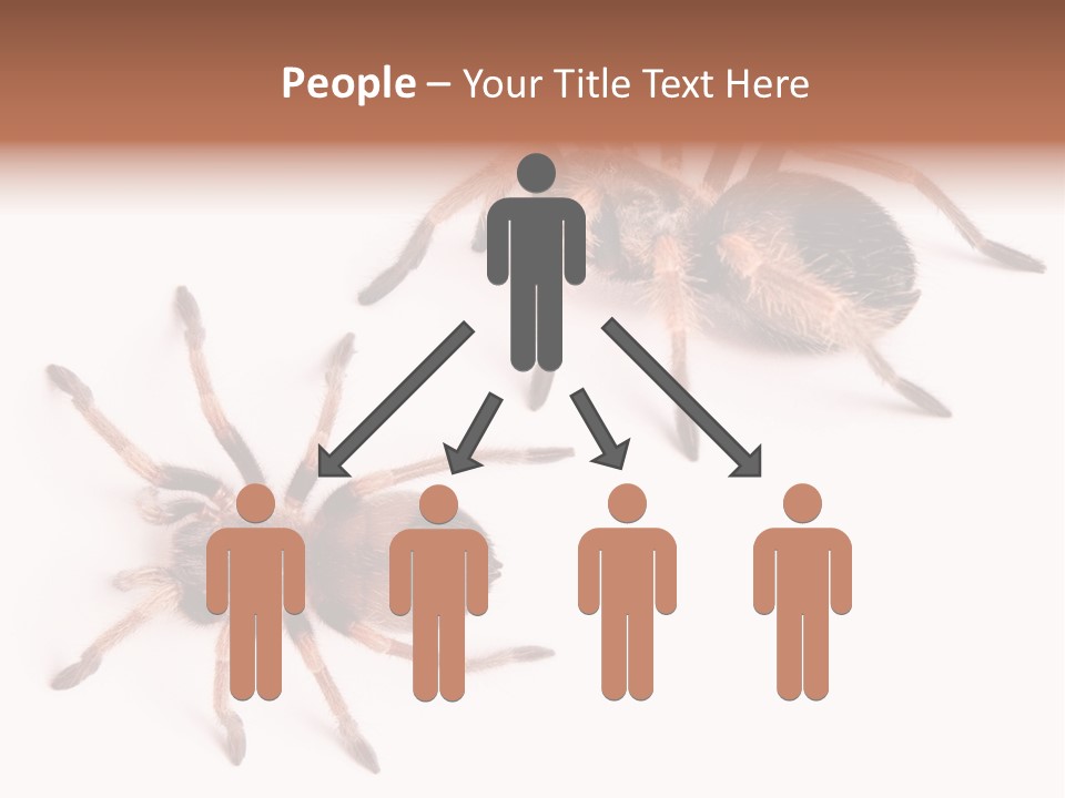 Close Up Studio Unusual PowerPoint Template