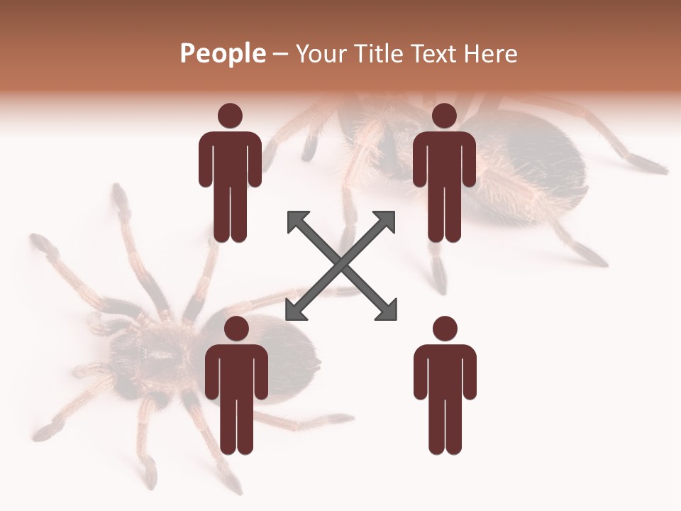 Close Up Studio Unusual PowerPoint Template