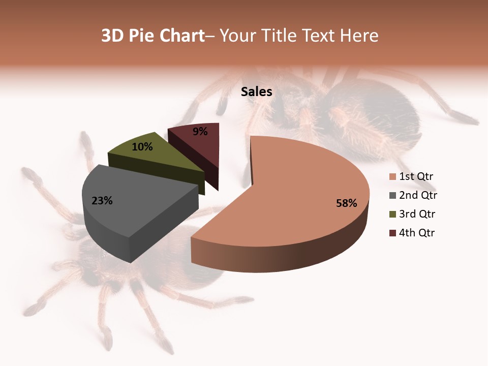 Close Up Studio Unusual PowerPoint Template