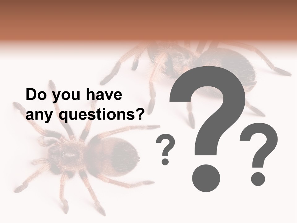 Close Up Studio Unusual PowerPoint Template