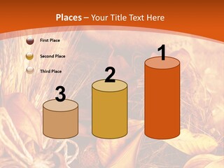 Agriculture Golden Closeup PowerPoint Template