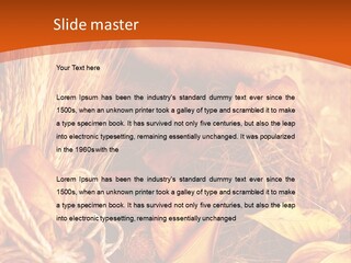 Agriculture Golden Closeup PowerPoint Template