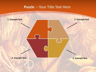Agriculture Golden Closeup PowerPoint Template