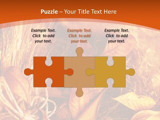 Agriculture Golden Closeup PowerPoint Template