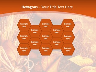 Agriculture Golden Closeup PowerPoint Template