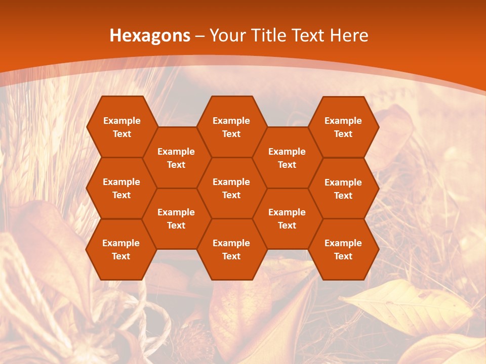Agriculture Golden Closeup PowerPoint Template