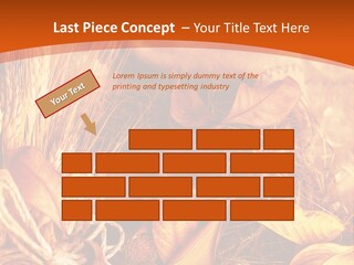Agriculture Golden Closeup PowerPoint Template