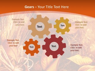 Agriculture Golden Closeup PowerPoint Template