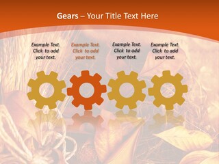 Agriculture Golden Closeup PowerPoint Template