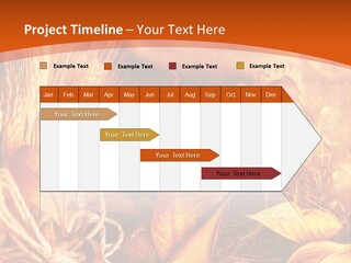 Agriculture Golden Closeup PowerPoint Template