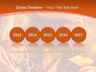 Agriculture Golden Closeup PowerPoint Template