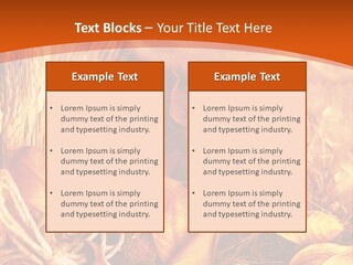 Agriculture Golden Closeup PowerPoint Template