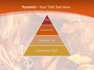 Agriculture Golden Closeup PowerPoint Template