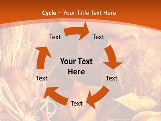 Agriculture Golden Closeup PowerPoint Template