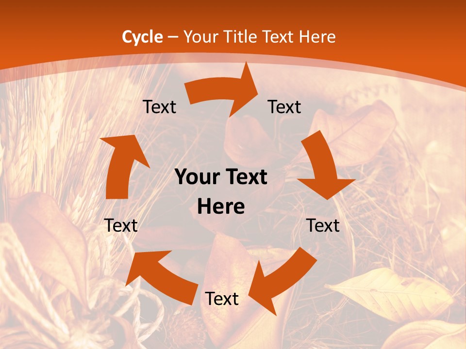 Agriculture Golden Closeup PowerPoint Template