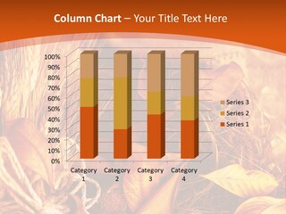 Agriculture Golden Closeup PowerPoint Template