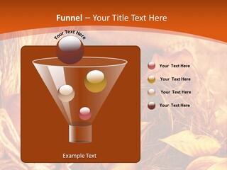 Agriculture Golden Closeup PowerPoint Template