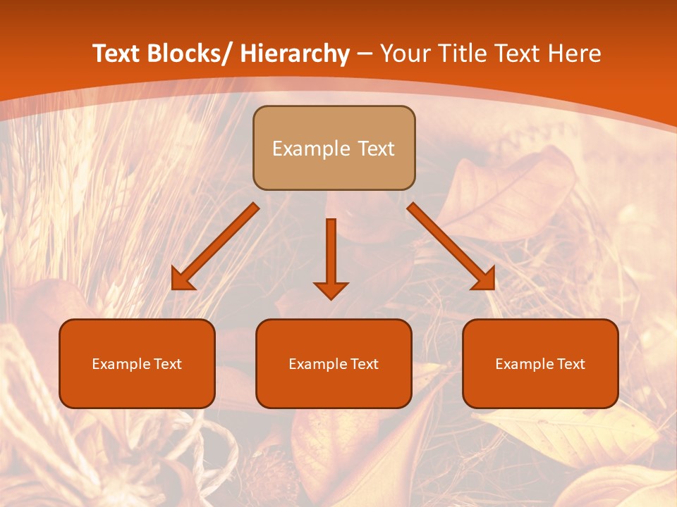 Agriculture Golden Closeup PowerPoint Template