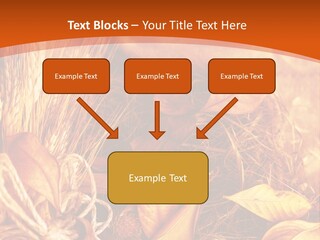 Agriculture Golden Closeup PowerPoint Template
