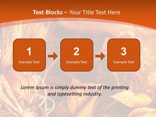Agriculture Golden Closeup PowerPoint Template