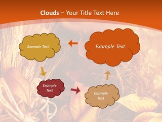Agriculture Golden Closeup PowerPoint Template