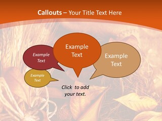 Agriculture Golden Closeup PowerPoint Template