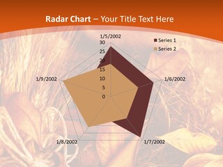 Agriculture Golden Closeup PowerPoint Template