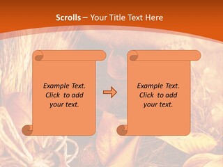 Agriculture Golden Closeup PowerPoint Template