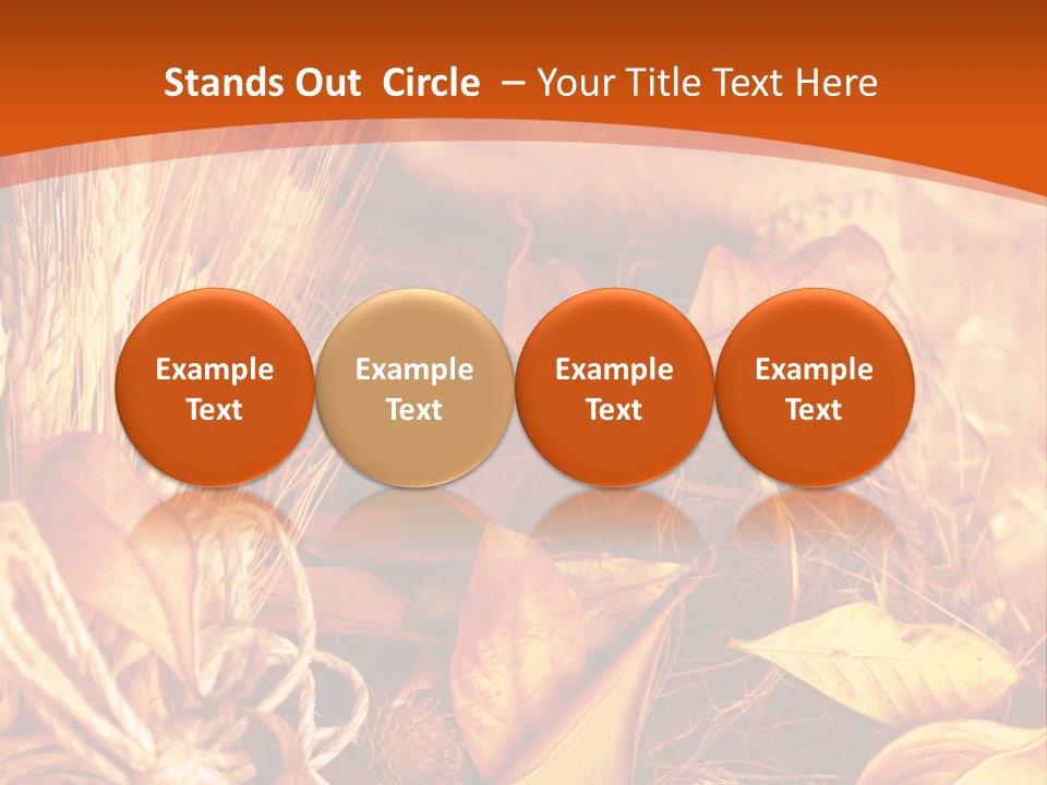 Agriculture Golden Closeup PowerPoint Template