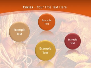 Agriculture Golden Closeup PowerPoint Template