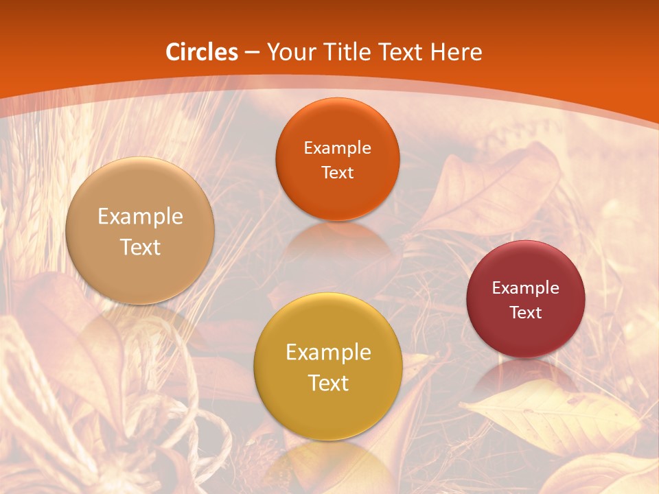 Agriculture Golden Closeup PowerPoint Template
