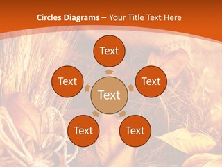 Agriculture Golden Closeup PowerPoint Template