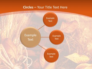 Agriculture Golden Closeup PowerPoint Template