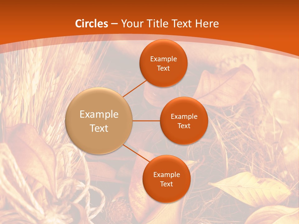 Agriculture Golden Closeup PowerPoint Template