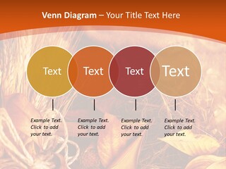 Agriculture Golden Closeup PowerPoint Template