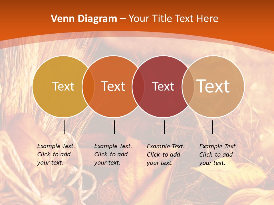 Agriculture Golden Closeup PowerPoint Template