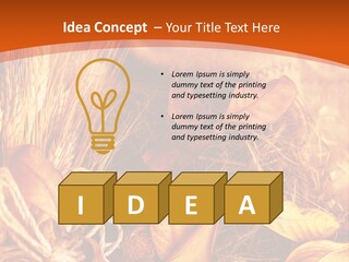 Agriculture Golden Closeup PowerPoint Template