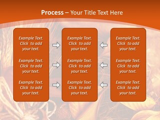 Agriculture Golden Closeup PowerPoint Template